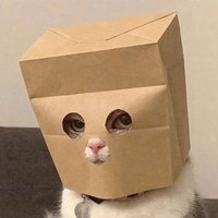 ACAT